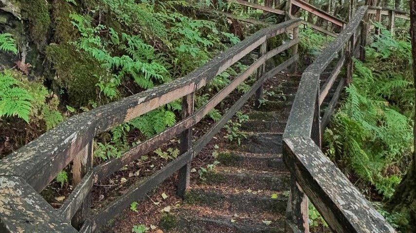 Settlers Cove State Recreation Site, Alaska, USA